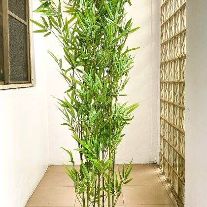 Artificial Plants/Trees Wholesaler In Nigeria | Tiny Bamboo Plants