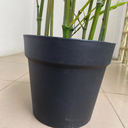 Artificial Plants/Trees Wholesaler In Nigeria | Tiny Bamboo Plants