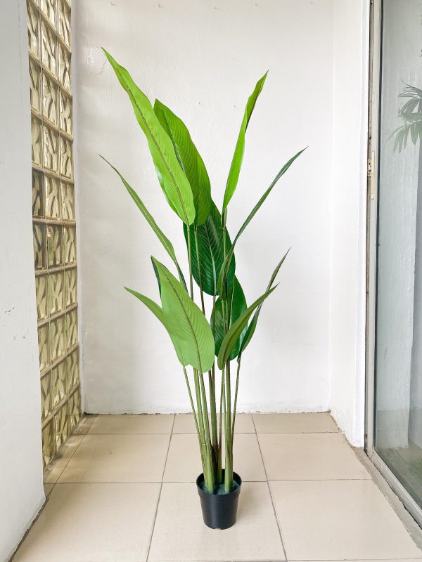 Artificial Skybird Plants/Flowers For Interior | Shop Faux Plants/Flowers