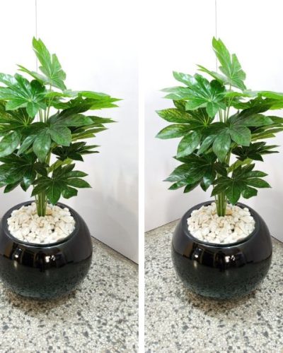 Artificial Japan Fatsia Plant Potted with Ball Ring Fiberglass Vase