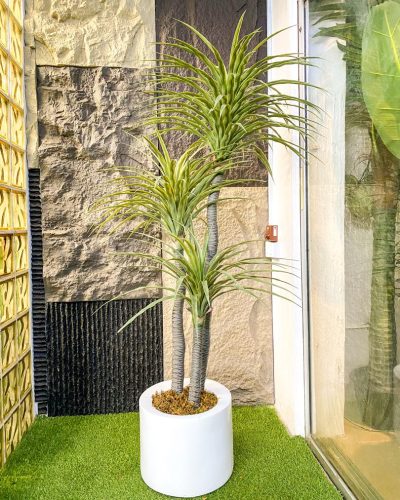 Half Wide Cylinder Fiberglass Vass Potted With Artificial Yucca Plant