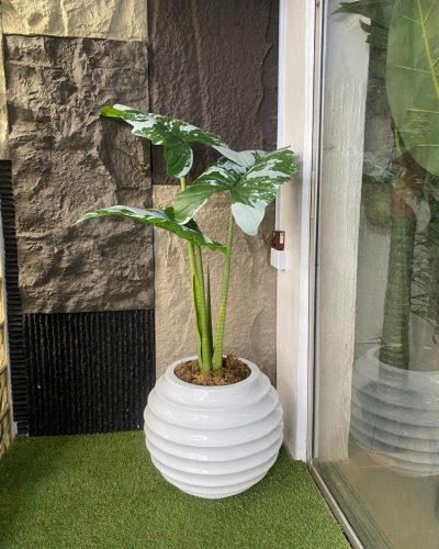 Ball Ring Fiberglass Vase Potted with Artificial Alocasia Cucullata Tree