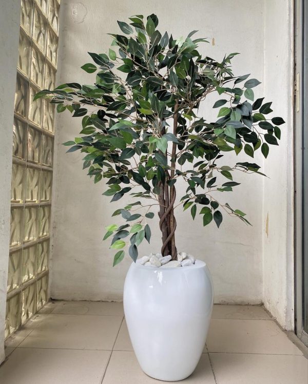 Artificial Plants Combo