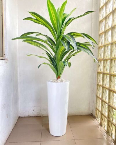 Artificial Potted Combo Plants