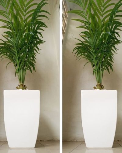 Belly Fiberglass Vase Potted With Artificial Kentia Palm