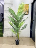Artificial Outdoor Palm plants - 170cm