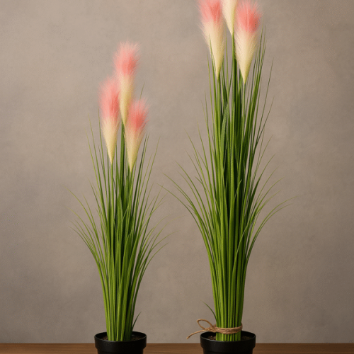reed Plant