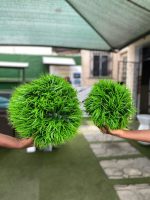 Decorative Artificial Boxwood Ball – Big & Small Sizes for Indoor Styling - Image 2