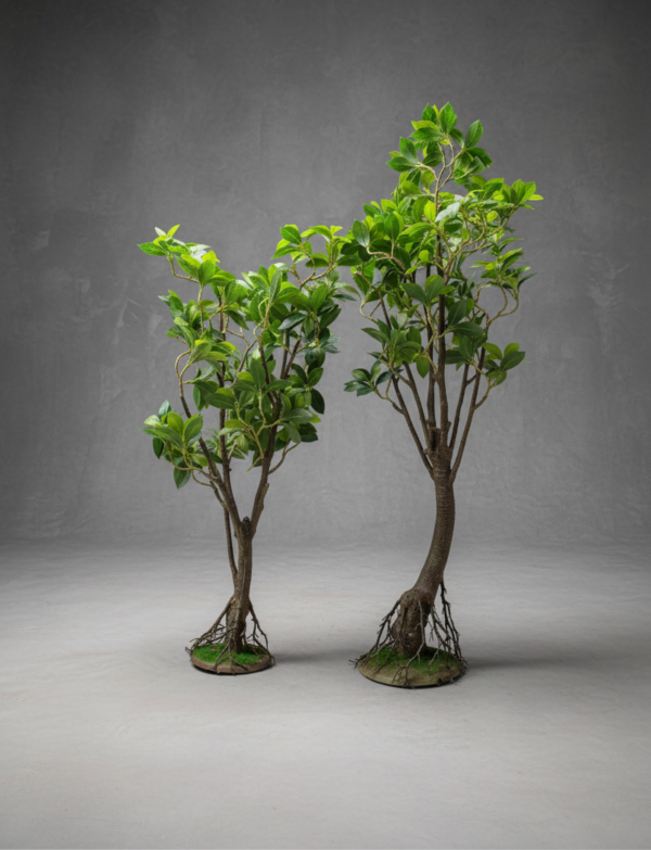 Premium Artificial Fig Trees – 120cm &150cm Decorative Indoor Plants - Image 1