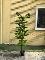 Artificial Bonsai Trees 150cm & 180cm | Luxury Indoor Decorative Plants in Nigeria - Image 2