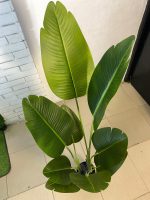 Artificial Traveller’s Tree 140cm & 160cm | Luxury Indoor Decor in Nigeria - Image 3