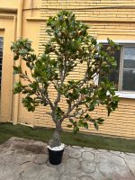 Artificial Kiwi Tree 220cm | Luxury Tall Indoor Decor in Nigeria - Image 3