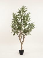 Artificial Olive Tree 240cm & 270cm | Luxury Extra Tall Indoor Décor in Nigeria