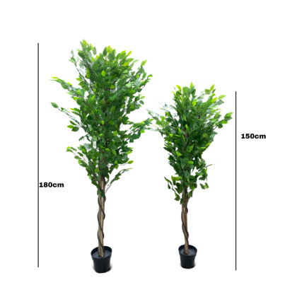 Artificial Ficus Trees Plants - 150cm And 180cm