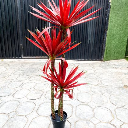 Artificial Agave Tree Plant - 140cm