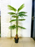 Artificial Mesh Fan Palm Tree Plants - 160cm