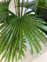 Artificial Mesh Fan Palm Tree Plants - 160cm